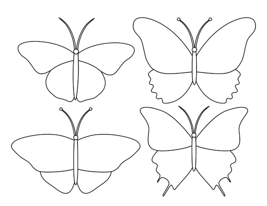 Free Butterfly Set Coloring Pages Pdf Free Vectors
